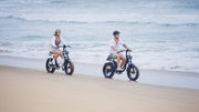 Nomad Fat Tyre Bike 350W - Black