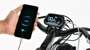 Nomad Fat Tyre Bike 350W - Black