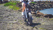 Nomad Fat Tyre Bike 350W - Black